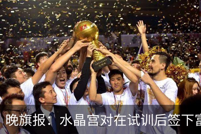 晚旗报：水晶宫对在试训后签下富安健洋持开放态度