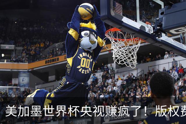 美加墨世界杯央视赚疯了！版权费仅6000万美元，收入或破80亿大关